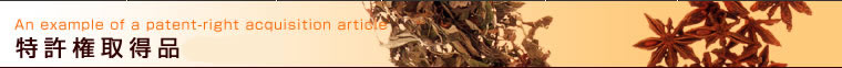 Title-擾ï